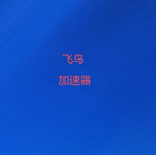 飞鸟VPN官网